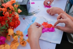 493737354_1229117542550778_6632800205925340601_n