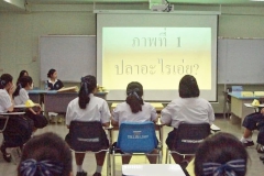 486303696_1142743124316368_3370769802637658978_n