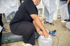 485755517_1143469714243709_5837978823771870998_n