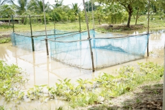 486119833_1172445311343322_4158431260236539439_n