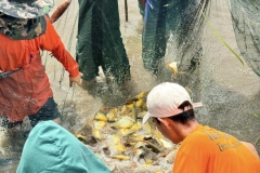 485743612_1143160560941291_2023203667580195009_n