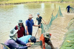 485747976_1143160520941295_2429518906377342495_n