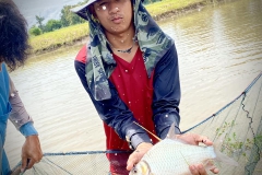 485802010_1143160120941335_4359329412471408922_n