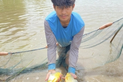 486142446_1143160584274622_4433844725598711574_n