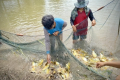 486170367_1143160464274634_3606498758178153559_n