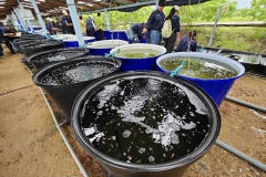 484175358_957891033161853_8486049890238568570_n