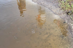 484330981_957891116495178_8760953975479315181_n