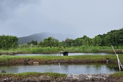 484380975_957890926495197_5763387458965895573_n