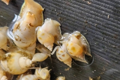 484384413_957891063161850_7200528397554369852_n