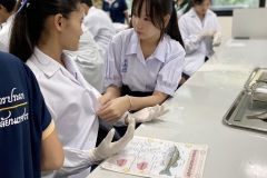 485678692_1142814184309262_4993259643515781780_n