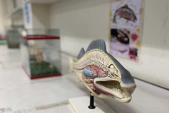 485731414_1142814400975907_1996850444894849719_n