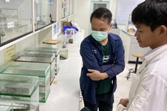 486141376_1142814360975911_4205389768723049800_n