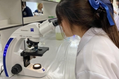 486285873_1142814324309248_2224229535739368053_n