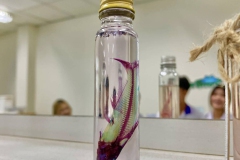 486422713_1142814164309264_8900324087506552002_n