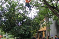 484645333_1108917114372201_3801400354127004792_n 484645333_1108917114372201_3801400354127004792_n