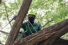 484981617_1108917217705524_1274882178822234147_n 484981617_1108917217705524_1274882178822234147_n