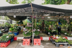 534215353_1291115006143018_6921319465268968444_n