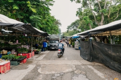 534864962_1291229652798220_9136738724125835035_n