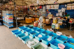 534972078_1291229522798233_556002388664603232_n