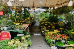 535091810_1291115099476342_9087072078393632268_n