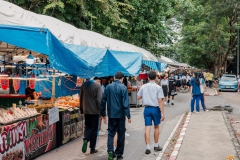 535700861_1291229826131536_395724352809799181_n