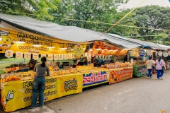 536154038_1291229432798242_9052106814569271606_n