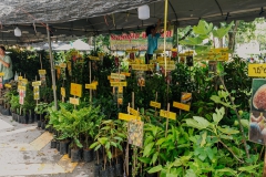 536443199_1291229459464906_7734966224252563206_n