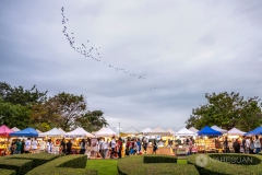 583923099_1266569855512565_7694424153498437655_n