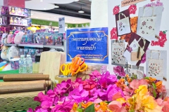 490728128_1217213810407818_13423838117058027_n