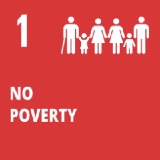 SDG 1