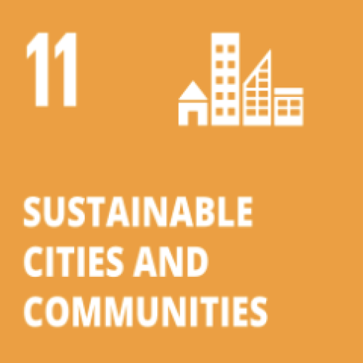 SDG 11