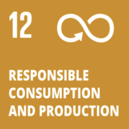 SDG 12