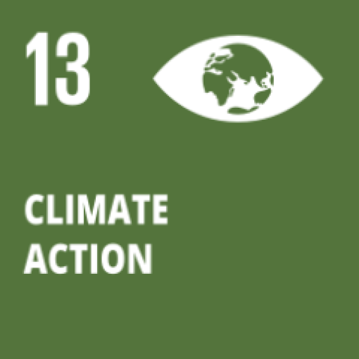 SDG 13