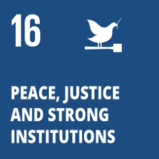 SDG 16 SDG 16