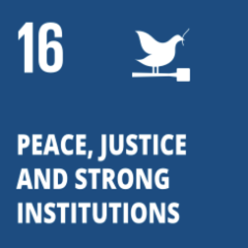 SDG 16