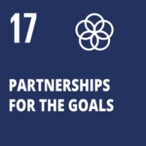 SDG 17