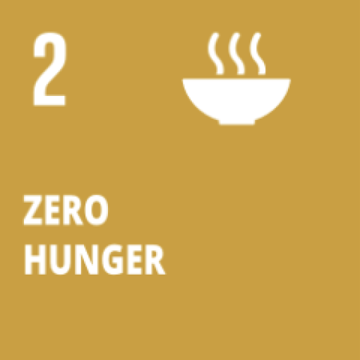 SDG 2