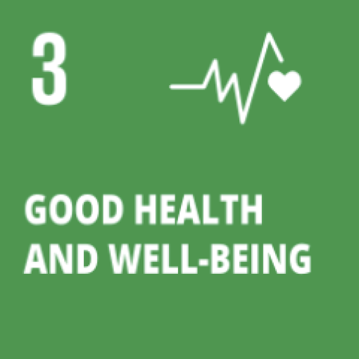 SDG 3