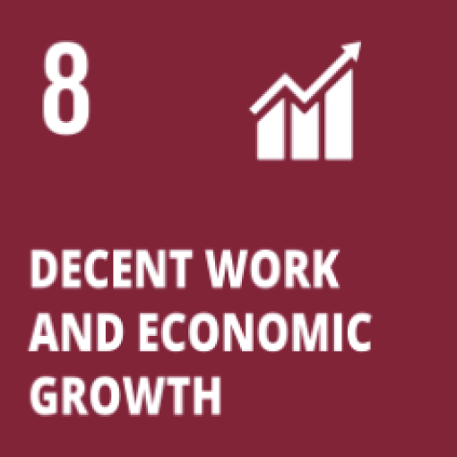 SDG 8