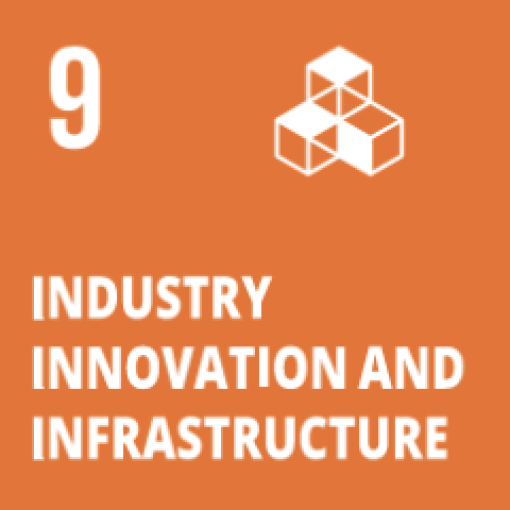 SDG 9